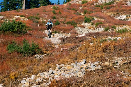 Man Mountain Biking Stock Photo - Rights-Managed, Code: 700-00328664