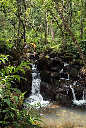 simsearch:700-00055021,k - Chute d'eau en forêt Photographie de stock - Rights-Managed, Code: 700-00328743