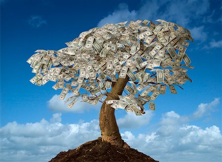 Money Tree Fotografie stock - Rights-Managed, Codice: 700-00328935