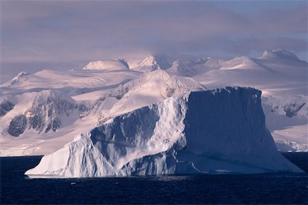 simsearch:700-00183247,k - Iceberg Antarctic Peninsula Fotografie stock - Rights-Managed, Codice: 700-00329153