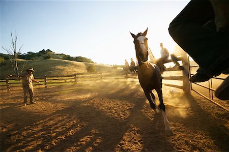 Horse in Corral Stock Photo - Rights-Managed, Code: 700-00344908