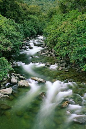 Creek Mount Aspiring National Park South Island, New Zealand Fotografie stock - Rights-Managed, Codice: 700-00345153