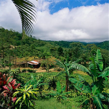 Escondido Valley Alajuela Province, Costa Rica Stock Photo - Rights-Managed, Code: 700-00345402