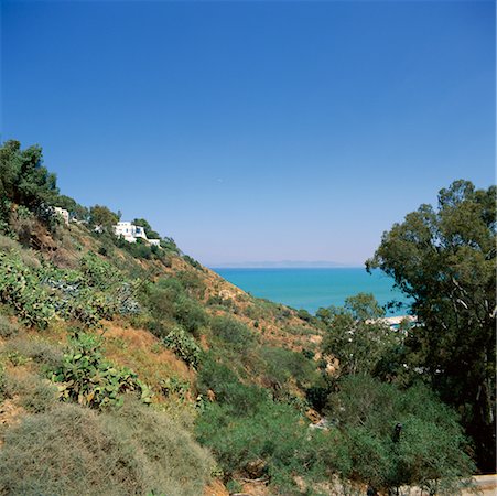 sidi bou said - Sidi Bou Said, Tunisia, Africa Foto de stock - Con derechos protegidos, Código: 700-00349934