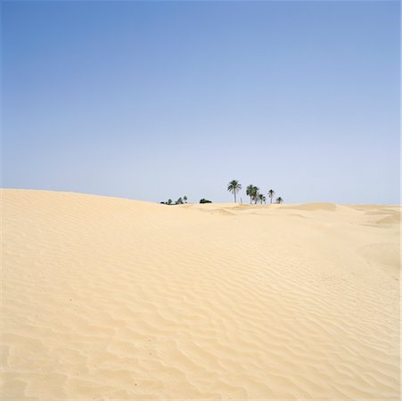 douz - Du désert à Douz, Tunisie, Afrique Photographie de stock - Rights-Managed, Code: 700-00349961