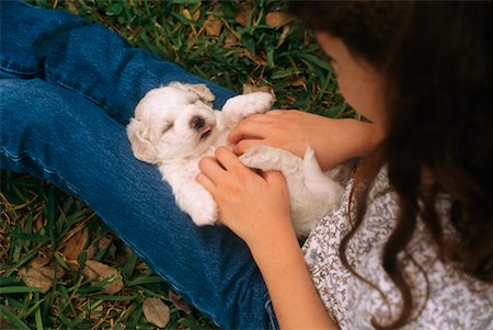 dog looking over shoulder - Girl Holding Puppy Stock Photo - Rights-Managed, Code: 700-00341097