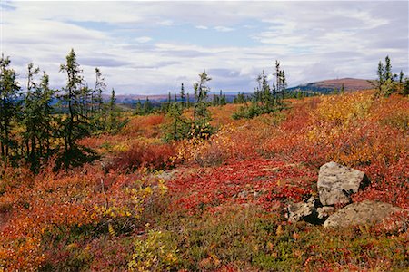 Overview of Landscape Yukon Canada Foto de stock - Con derechos protegidos, Código: 700-00341295