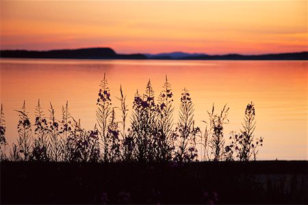 Lake Huron bei Sonnenaufgang Stockbilder - Lizenzpflichtiges, Bildnummer: 700-00341322