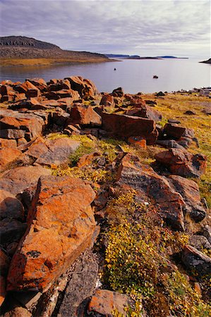 Arktische Scenic Stockbilder - Lizenzpflichtiges, Bildnummer: 700-00341323