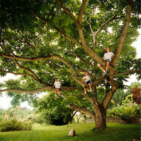 Children Sitting in Tree Stock Photo - Rights-Managed, Code: 700-00342089