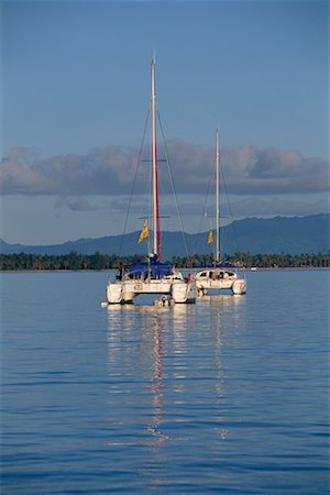 simsearch:700-00426292,k - Catamaran à voiles, Bora Bora, Polynésie française Photographie de stock - Rights-Managed, Code: 700-00343471