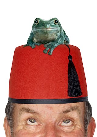 simsearch:700-00267796,k - Man with Frog on Hat Stock Photo - Rights-Managed, Code: 700-00357540