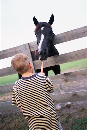 parc animalier - Carotte de nourrir garçon à cheval Photographie de stock - Rights-Managed, Code: 700-00357778