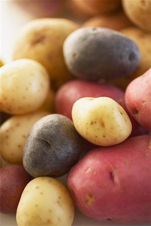 simsearch:700-00528614,k - Gros plan d'assortiments de pommes de terre Photographie de stock - Rights-Managed, Code: 700-00350821