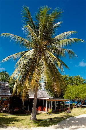 Restaurant Marina Iti Tahaa, Polynésie française Photographie de stock - Rights-Managed, Code: 700-00364349