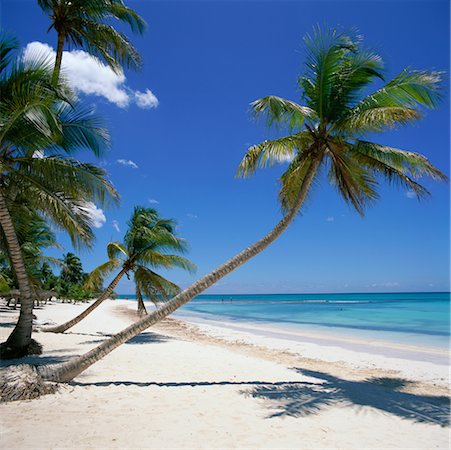 simsearch:700-00345396,k - Saona Island Dominican Republic Stock Photo - Rights-Managed, Code: 700-00361043