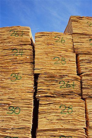 simsearch:700-02833439,k - Stack of Plywood Veneer Fotografie stock - Rights-Managed, Codice: 700-00361368