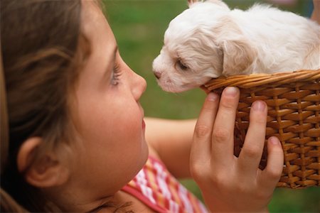 simsearch:700-01585731,k - Girl with Puppy in Basket Stock Photo - Rights-Managed, Code: 700-00361386