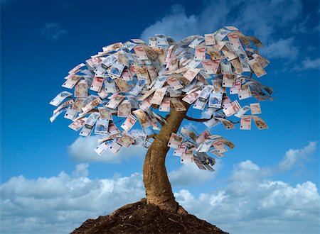 Euro Notes on Tree Stock Photo - Rights-Managed, Code: 700-00361895