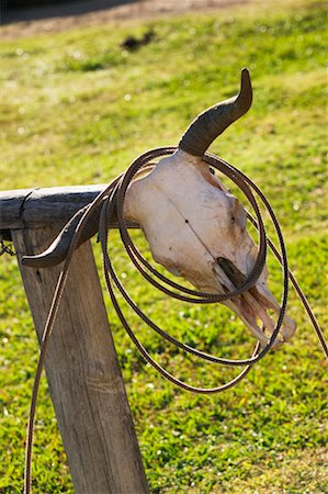 rope coil - Cattle Head and Lasso on Fence Post Stock Photo - Rights-Managed, Code: 700-00363195