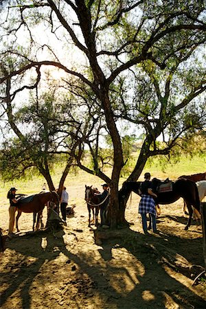 People with Horses Stock Photo - Rights-Managed, Code: 700-00363196