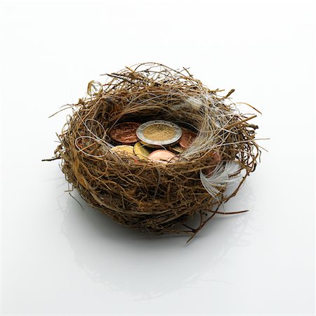 simsearch:700-03229770,k - Nest With Coins Stock Photo - Rights-Managed, Code: 700-00363297