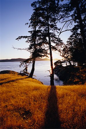 simsearch:700-00169380,k - Gulf Islands British Columbia Canada Stock Photo - Rights-Managed, Code: 700-00371434