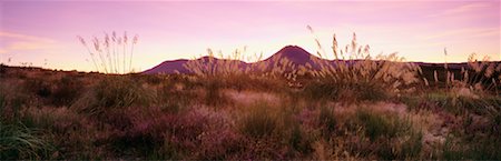 Tongariro National Park New Zealand Stock Photo - Rights-Managed, Code: 700-00371477