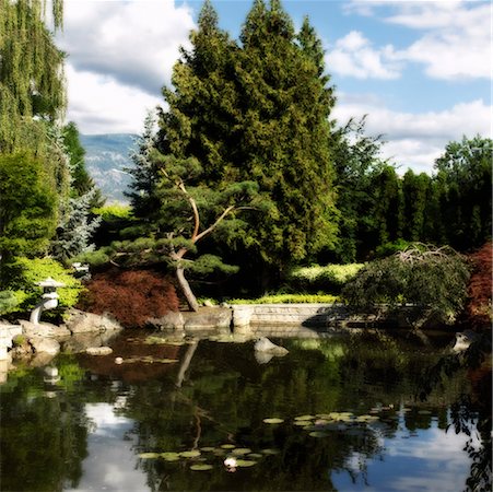 Jardins de Kasugai, Kelowna, Colombie-Britannique Canada Photographie de stock - Rights-Managed, Code: 700-00404154