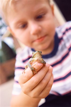 Boy Holding Frog Stock Photo - Rights-Managed, Code: 700-00424054