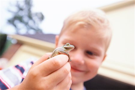 Boy Holding Frog Stock Photo - Rights-Managed, Code: 700-00424052