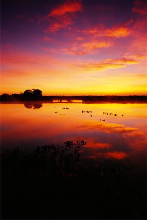 Lever du soleil, Pantanal, Transpantaneira, Brésil Photographie de stock - Rights-Managed, Code: 700-00424398