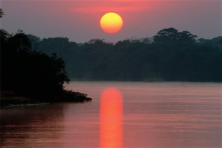 Coucher du soleil, Pantanal, Transpantaneira, Brésil Photographie de stock - Rights-Managed, Code: 700-00424400