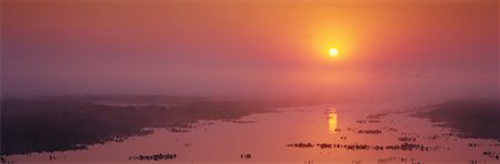 sunrise in pantanal - Jofre, Transpantaneira, Pantanal, Mato Grosso, Brazil Stock Photo - Rights-Managed, Code: 700-00424414