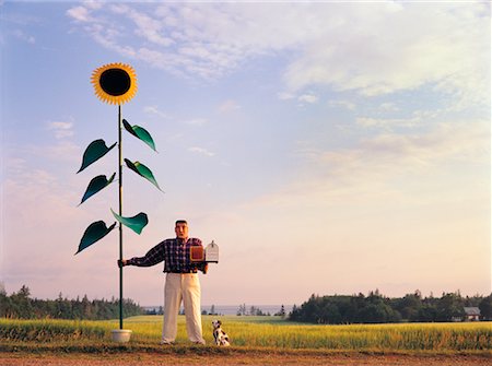 prince edward island farm - Sunflower Mailbox Stock Photo - Rights-Managed, Code: 700-00424601