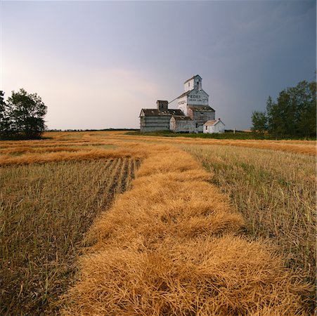 Grain Silos Stock Photo - Rights-Managed, Code: 700-00424674