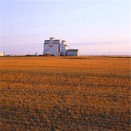 saskatchewan grain farm photos - Grain Silos Stock Photo - Rights-Managed, Code: 700-00424676