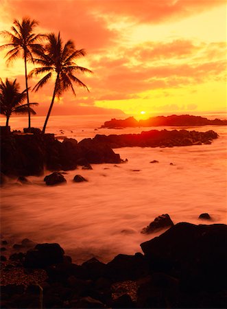 simsearch:700-00424694,k - Palm Trees and Beach at Sunset, North Shore, Oahu, Hawaii, USA Stock Photo - Rights-Managed, Code: 700-00425100