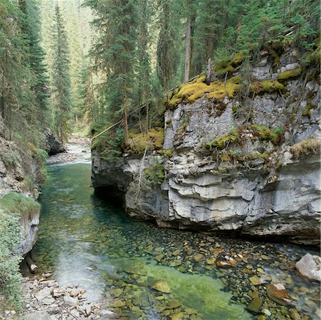 simsearch:700-06465470,k - Stream in Forest, Johnston Canyon, Banff National Park, Alberta, Canada Stock Photo - Rights-Managed, Code: 700-00425187