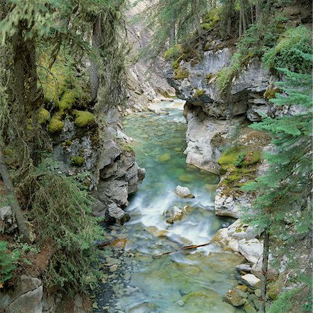 simsearch:700-06465470,k - Stream in Forest, Johnston Canyon, Banff National Park, Alberta, Canada Stock Photo - Rights-Managed, Code: 700-00425188