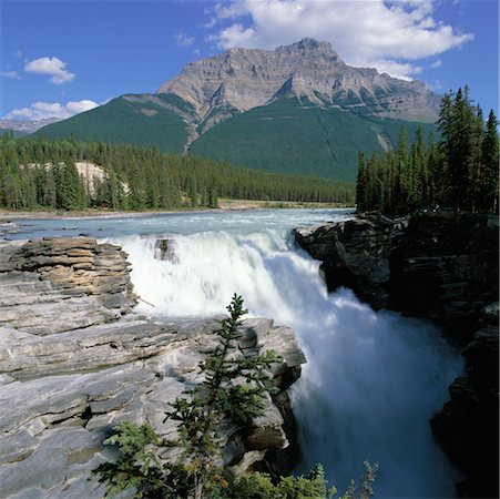 Chutes Athabasca, Parc National Jasper, Alberta, Canada Photographie de stock - Rights-Managed, Code: 700-00425206