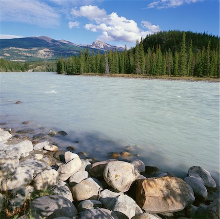 simsearch:700-00027572,k - La rivière Athabasca, Parc National Jasper, Alberta, Canada Photographie de stock - Rights-Managed, Code: 700-00425213