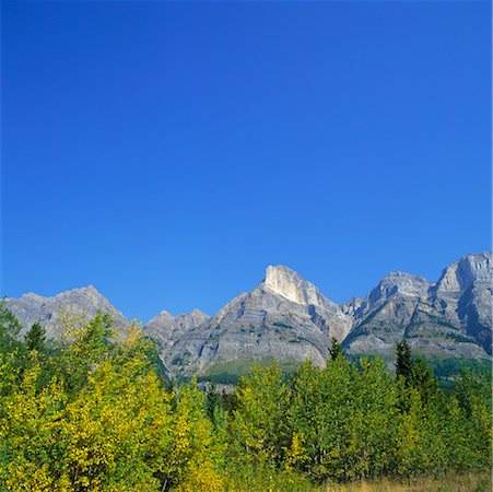 simsearch:700-00006095,k - Jasper National Park, Alberta, Canada Foto de stock - Con derechos protegidos, Código: 700-00425308