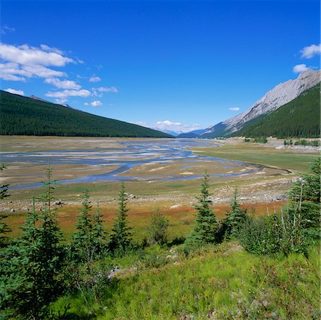 desembocadura del río - Maligne River, Jasper National Park, Alberta, Canada Foto de stock - Con derechos protegidos, Código: 700-00425310