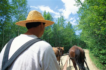 Man Riding Horse Drawn Carraige Foto de stock - Direito Controlado, Número: 700-00425433