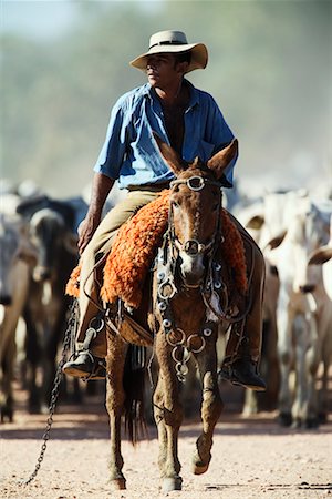 simsearch:862-03352287,k - Cowboy on Cattle Drive, Mato Grosso, Pantanal, Brazil Stock Photo - Rights-Managed, Code: 700-00426014