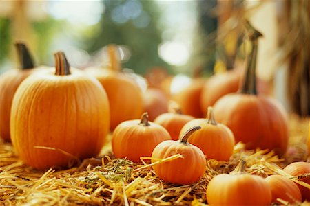 simsearch:700-00099882,k - Pumpkins Stock Photo - Rights-Managed, Code: 700-00426313