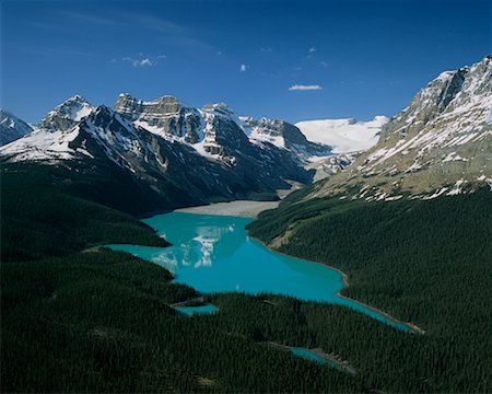 simsearch:700-00008552,k - Peyto Lake, Banff National Park, Alberta, Canada Fotografie stock - Rights-Managed, Codice: 700-00426362