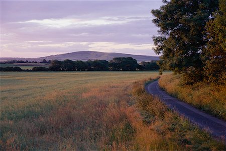 pictures rural east sussex england - Field at Dusk South Downs, East Sussex, England Foto de stock - Con derechos protegidos, Código: 700-00438900