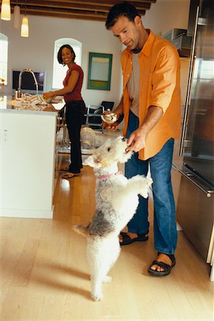 dogs and woman in kitchen - Couple with Dog Stock Photo - Rights-Managed, Code: 700-00439977